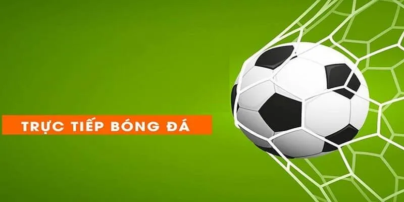 FAQs – Câu hỏi thường gặp tại trang web Vebo cho tân thủ