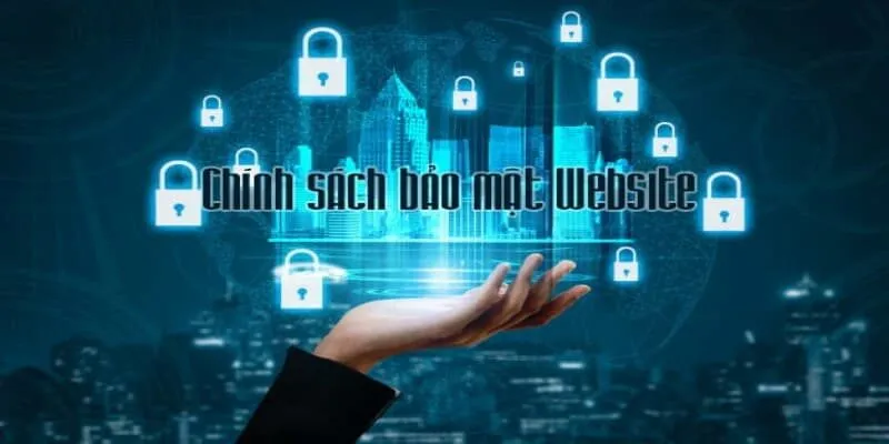 Những thông tin về chính sách bảo mật tại Vebo