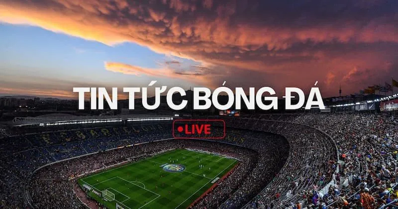 Chính sách về bản quyền tại Vebo